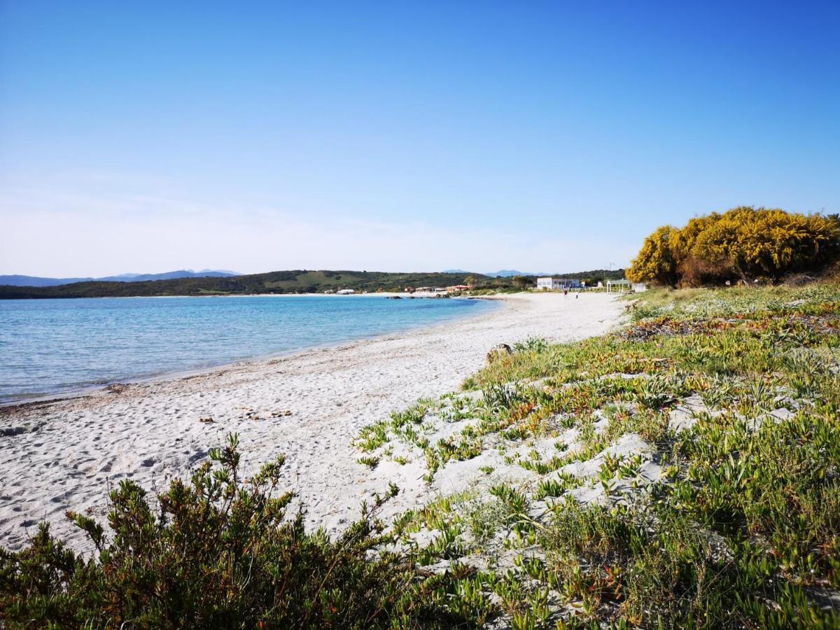 Insardinia House trilocale a 200mt dalla spiaggia Olbia Esterno foto