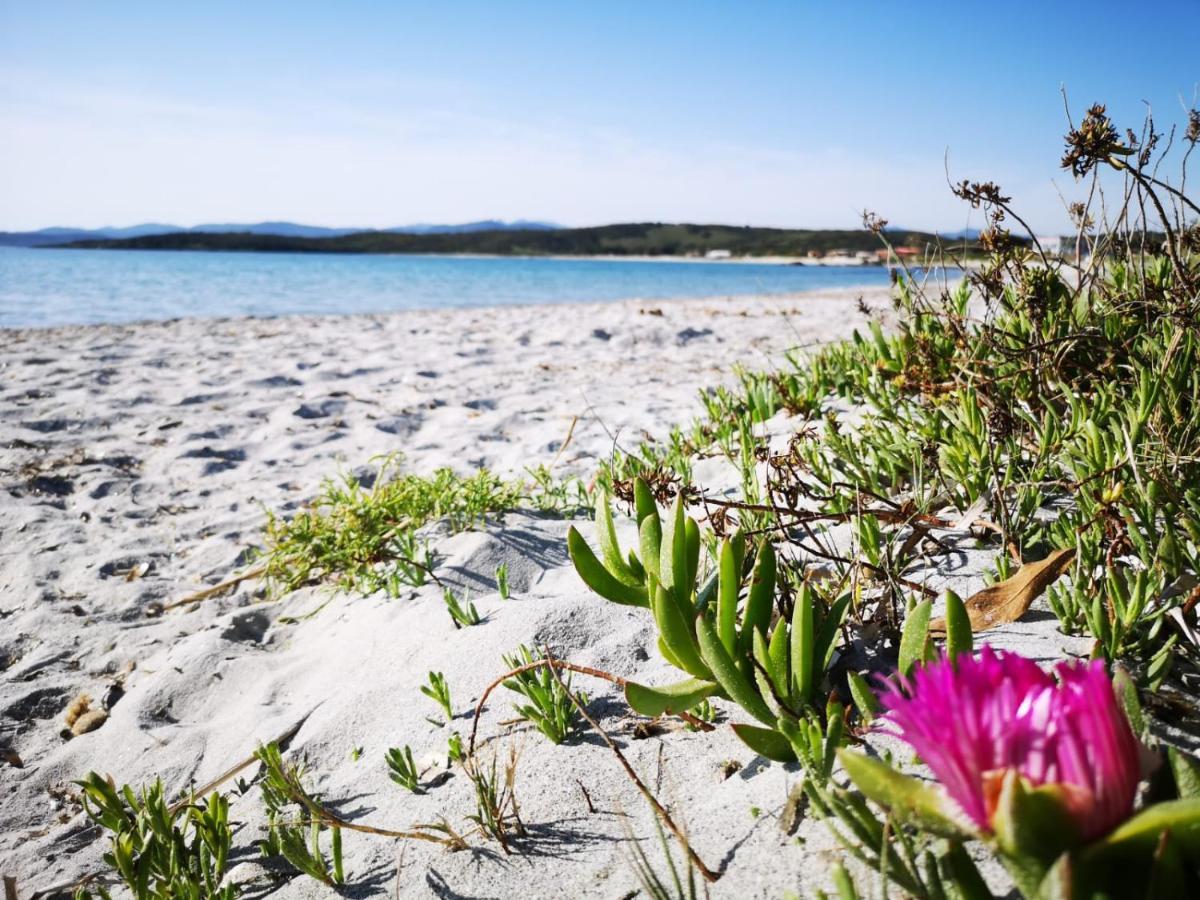 Insardinia House trilocale a 200mt dalla spiaggia Olbia Esterno foto